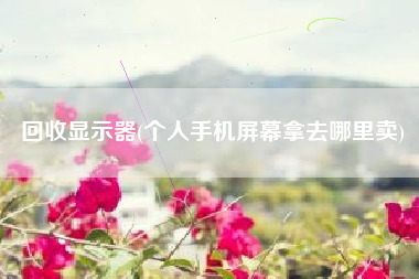 回收显示器(个人手机屏幕拿去哪里卖)