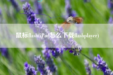 鼠标flash(iPad怎么下载flashplayer)