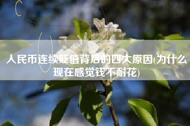 人民币连续贬值背后的四大原因(为什么现在感觉钱不耐花)