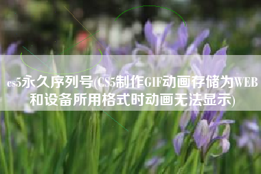 cs5永久序列号(CS5制作GIF动画存储为WEB和设备所用格式时动画无法显示)