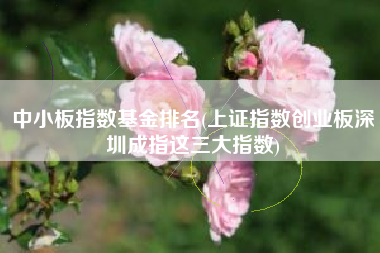 中小板指数基金排名(上证指数创业板深圳成指这三大指数)
