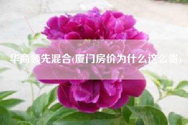 华商领先混合(厦门房价为什么这么贵)
