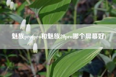 魅族pro(pro和魅族20pro哪个屏幕好)