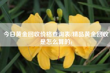 今日黄金回收价格查询表(精品黄金回收是怎么算的)