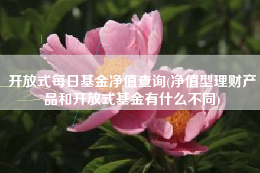 开放式每日基金净值查询(净值型理财产品和开放式基金有什么不同)
