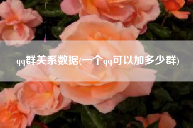 qq群关系数据(一个qq可以加多少群)