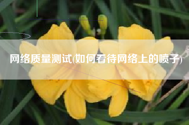 网络质量测试(如何看待网络上的喷子)