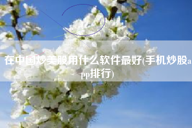 在中国炒美股用什么软件最好(手机炒股app排行)