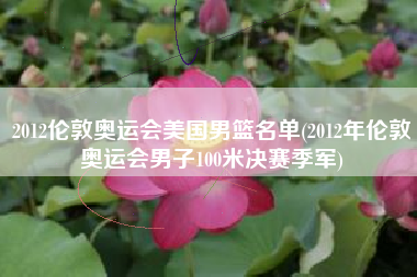 2012伦敦奥运会美国男篮名单(2012年伦敦奥运会男子100米决赛季军)