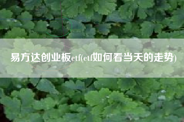 易方达创业板etf(etf如何看当天的走势)
