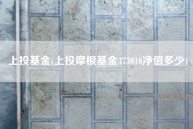 上投基金(上投摩根基金373010净值多少)