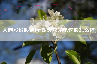 大港股份股票行情(天龙光电这股怎么样)