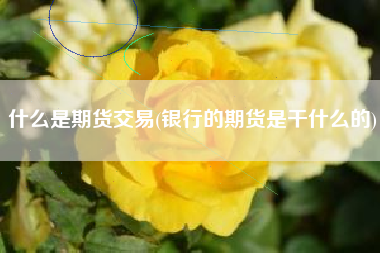 什么是期货交易(银行的期货是干什么的)