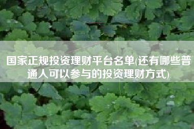 国家正规投资理财平台名单(还有哪些普通人可以参与的投资理财方式)