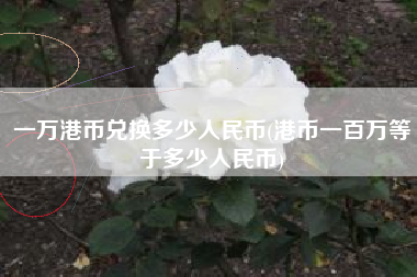 一万港币兑换多少人民币(港币一百万等于多少人民币)