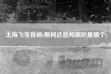 上海飞乐音响(斯柯达音频喇叭是哪个)