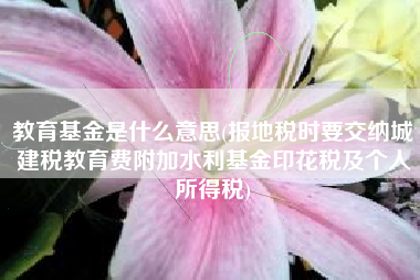 教育基金是什么意思(报地税时要交纳城建税教育费附加水利基金印花税及个人所得税)