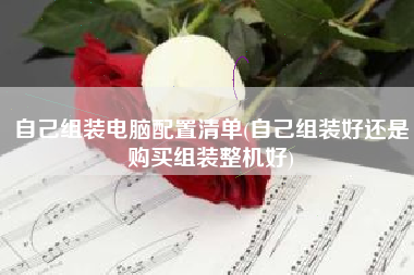 自己组装电脑配置清单(自己组装好还是购买组装整机好)