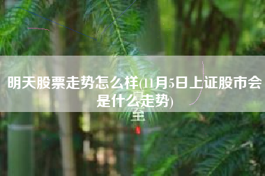明天股票走势怎么样(11月5日上证股市会是什么走势)