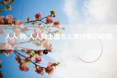 人人 网(人人网上面怎么查找我的收藏)