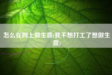 怎么在网上做生意(我不想打工了想做生意)