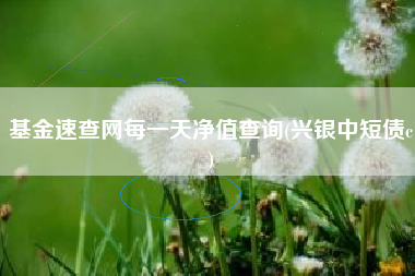 基金速查网每一天净值查询(兴银中短债c)