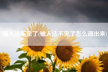 输入法不见了(输入法不见了怎么调出来)