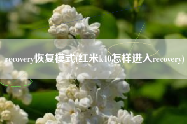 recovery恢复模式(红米k40怎样进入recovery)