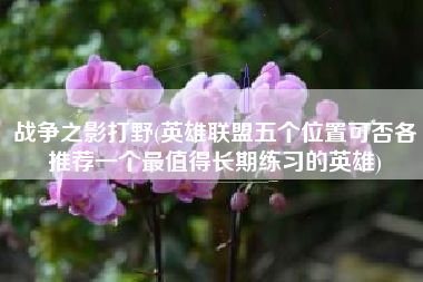 战争之影打野(英雄联盟五个位置可否各推荐一个最值得长期练习的英雄)