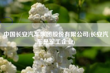 中国长安汽车集团股份有限公司(长安汽车是军工企业)