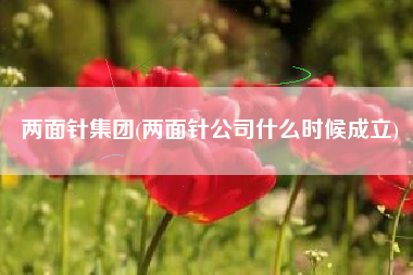 详细阅读:两面针集团(两面针公司什么时候成立) 两面针集团(两面针公司什么时候成立)
