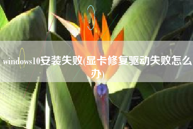 windows10安装失败(显卡修复驱动失败怎么办)
