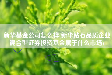 新华基金公司怎么样(新华钻石品质企业混合型证券投资基金属于什么市场)