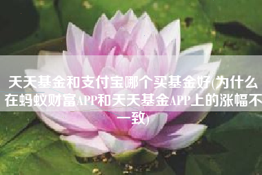 天天基金和支付宝哪个买基金好(为什么在蚂蚁财富APP和天天基金APP上的涨幅不一致)