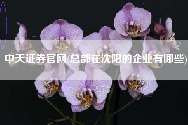 中天证券官网(总部在沈阳的企业有哪些)