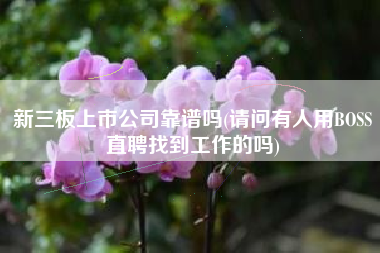 新三板上市公司靠谱吗(请问有人用BOSS直聘找到工作的吗)