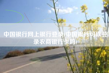 中国银行网上银行登录(中国银行可以登录农商银行卡吗)