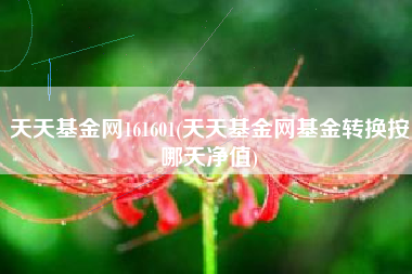 天天基金网161601(天天基金网基金转换按哪天净值)