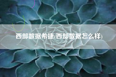 西部数据希捷(西部数据怎么样)
