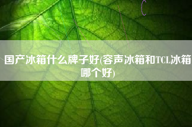 国产冰箱什么牌子好(容声冰箱和TCL冰箱哪个好)
