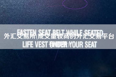 外汇交易所(成交量较高的外汇交易平台有哪些)