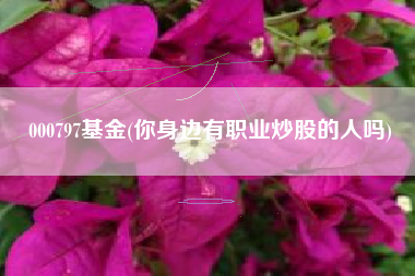 000797基金(你身边有职业炒股的人吗)