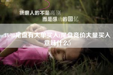 15:00尾盘有大单买入(尾盘竞价大量买入意味什么)