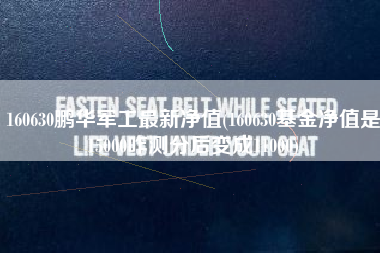 160630鹏华军工最新净值(160630基金净值是15000咋测分后变成11000)