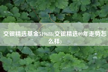 详细阅读:交银精选基金519688(交银精选09年走势怎么样) 交银精选基金519688(交银精选09年走势怎么样)