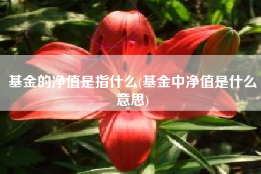 基金的净值是指什么(基金中净值是什么意思)