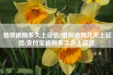 借呗逾期多久上征信?借呗逾期几天上征信(支付宝逾期多久会上征信)