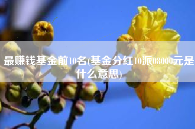 最赚钱基金前10名(基金分红10派08000元是什么意思)