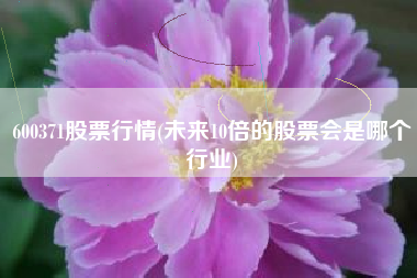 600371股票行情(未来10倍的股票会是哪个行业)