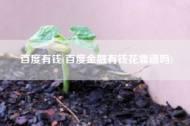 百度有钱(百度金融有钱花靠谱吗)
